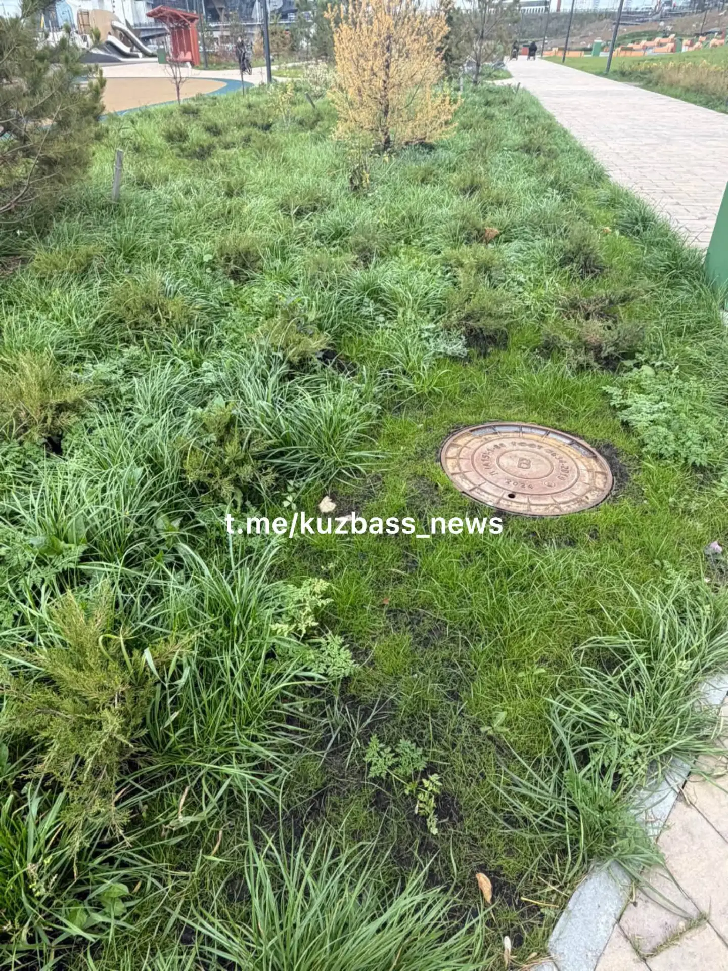 ❗️ > «Парк победы- все новое, и уже нет ухода. Газоны не готовят к зиме все в листьях с...