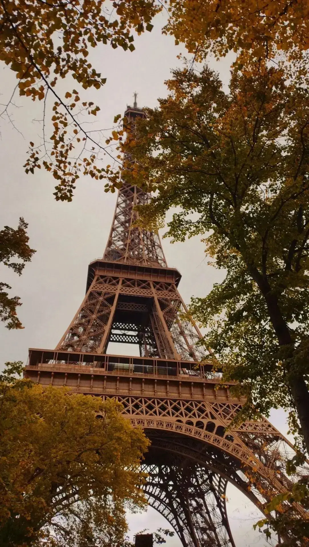 Осенние обои🍂