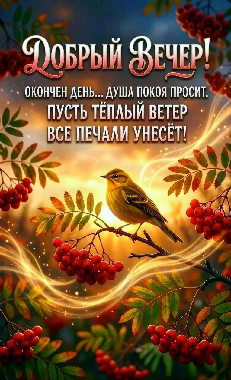 Милые открытки 😊 подписаться