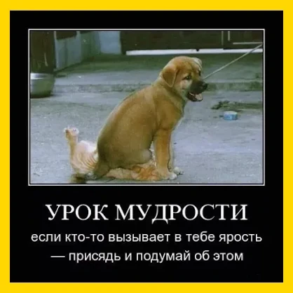 Полный Хохотамбл! Подпишись скорее