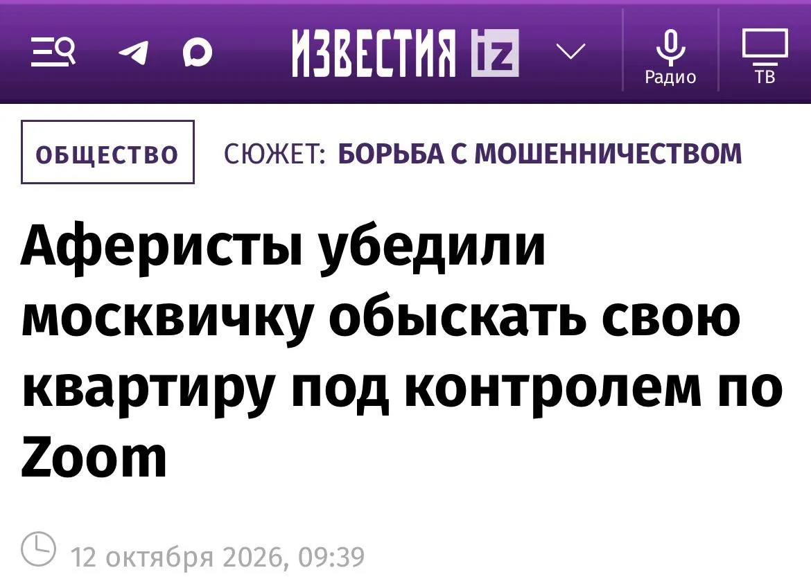 Силовики на удалёнке.