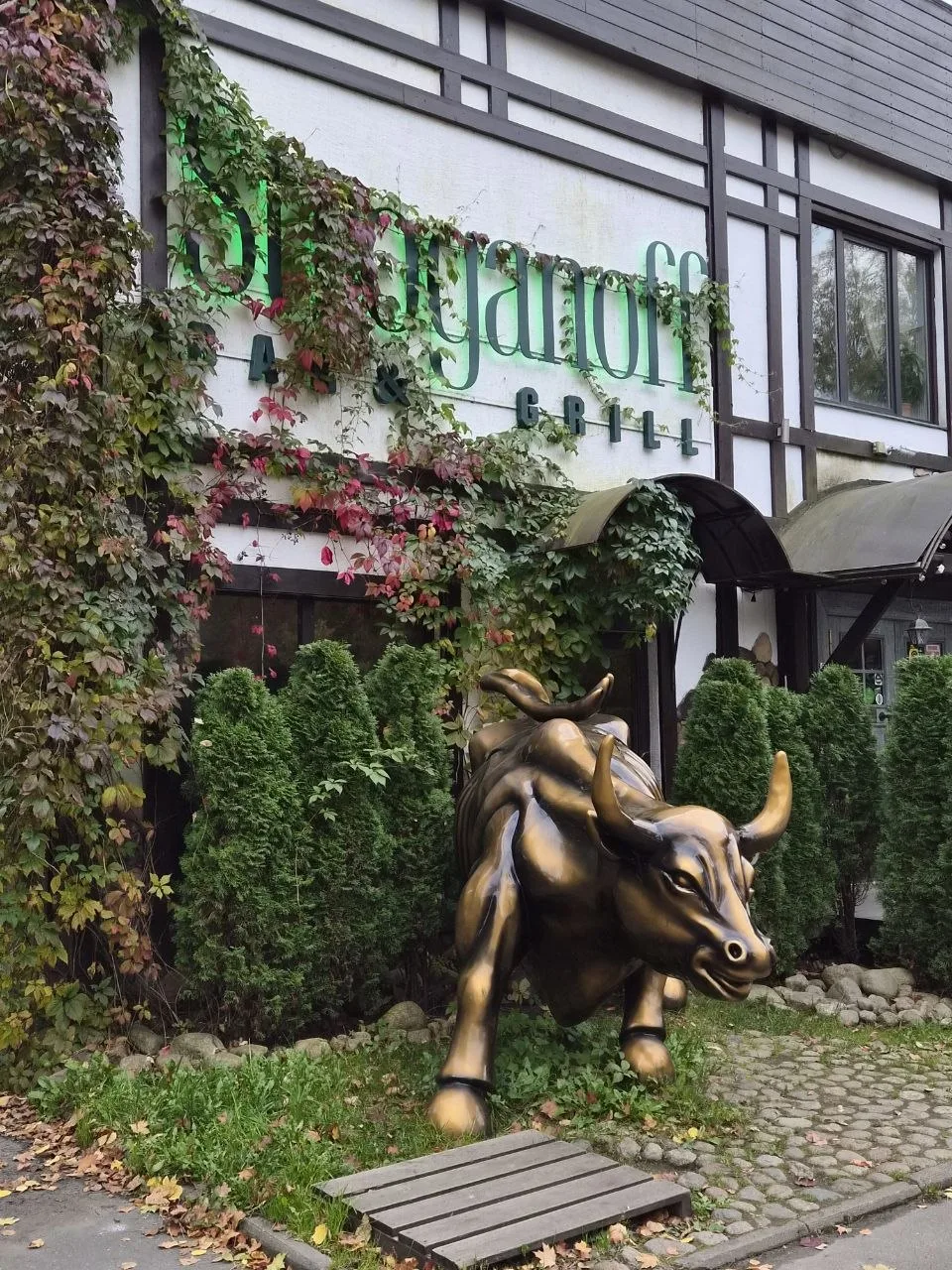 Осень в меню и окнах Stroganoff Bar & Grill