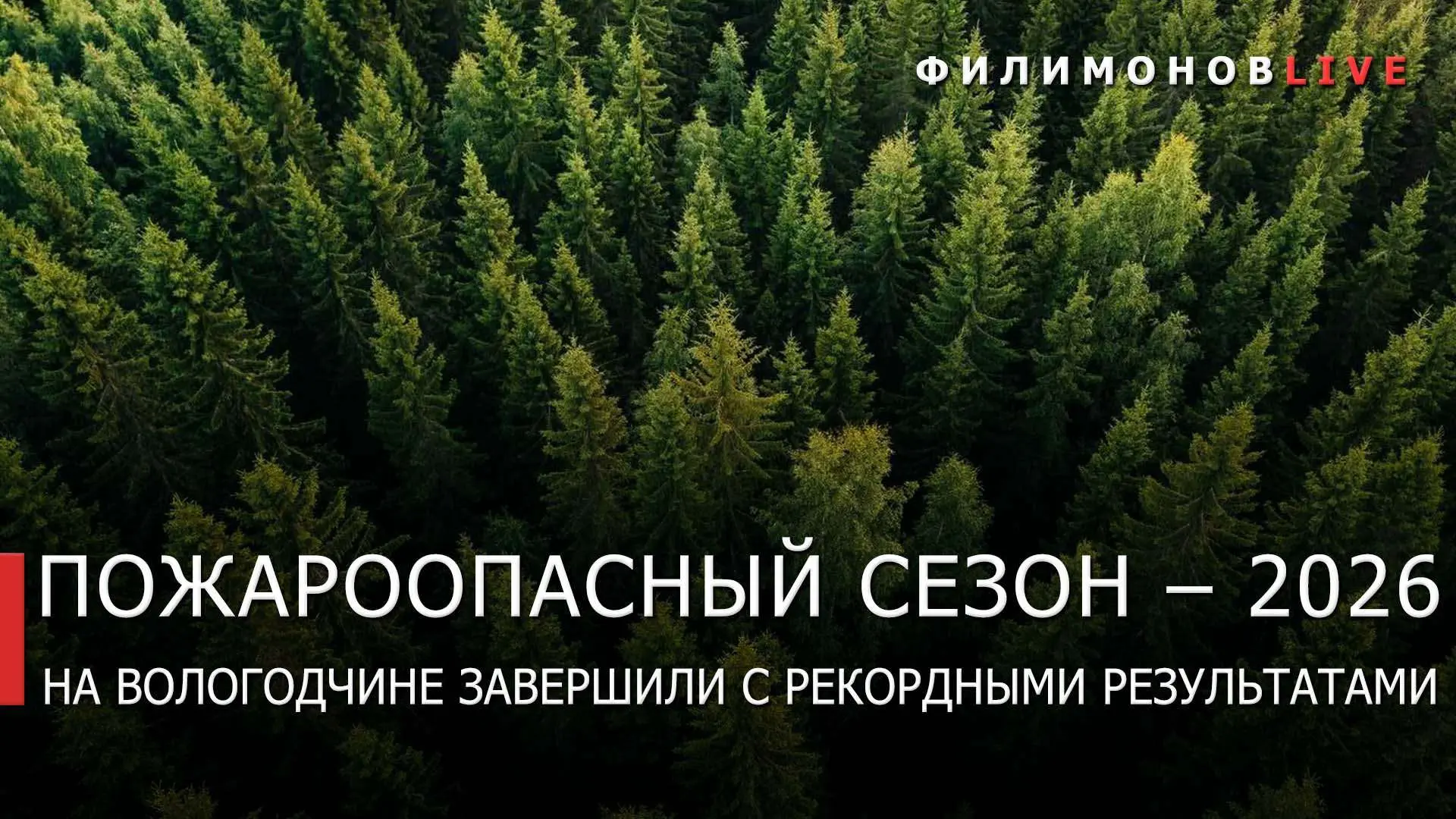 На Вологодчине завершили пожароопасный сезон с историческим минимумом лесных пожаров.