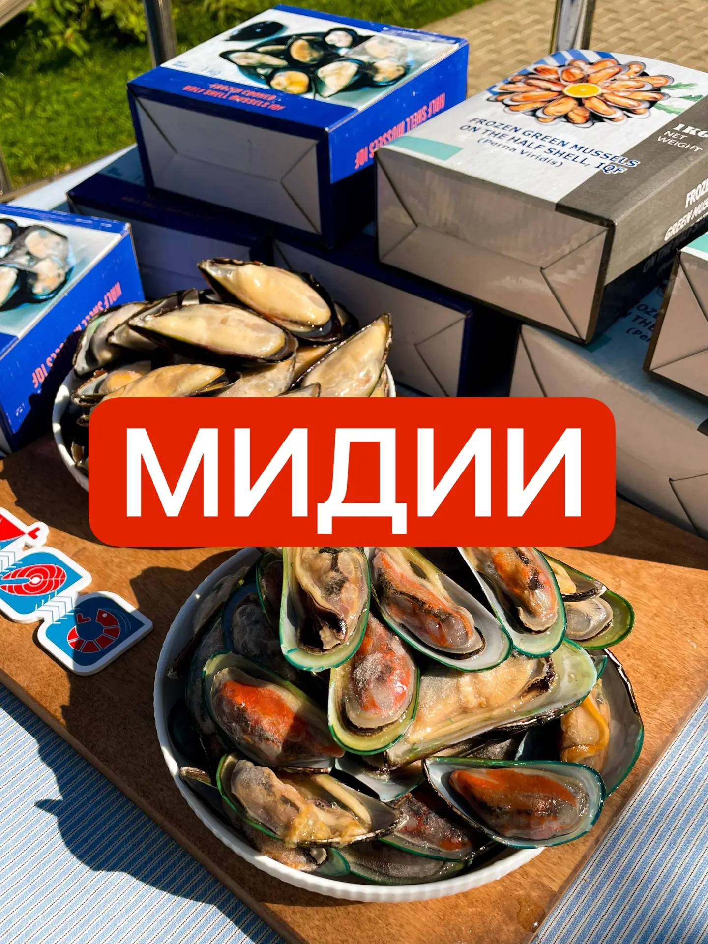 🦪 СИНИЕ И ЗЕЛЁНЫЕ МИДИИ: А В ЧЁМ РАЗНИЦА? 💙💚У нас есть сразу два вида мидий на полов...