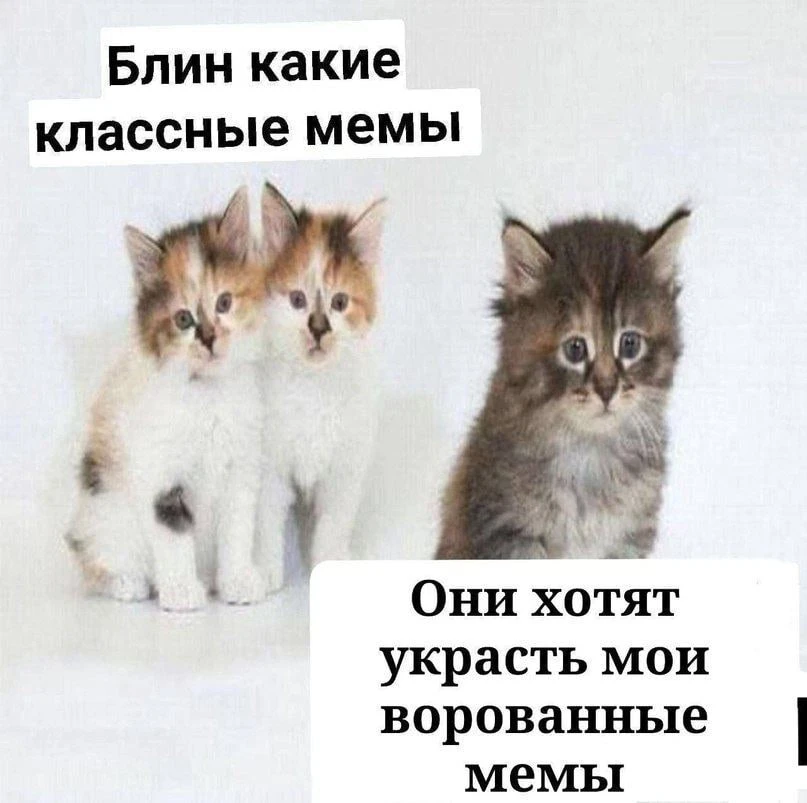 Подписаться