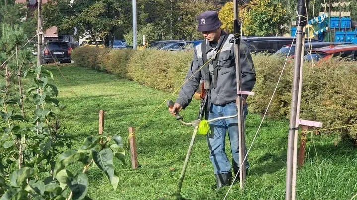 Клумбы Реутова готовят к зиме