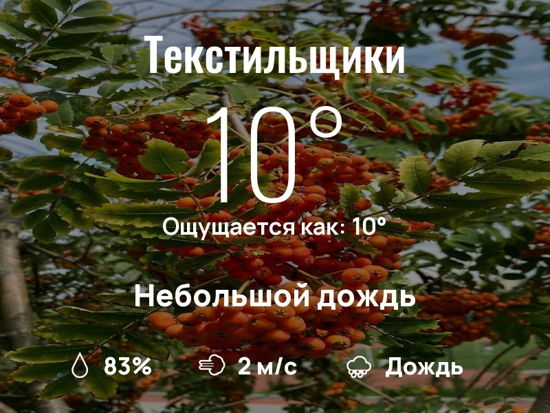 Что с погодой в Текстильщиках?