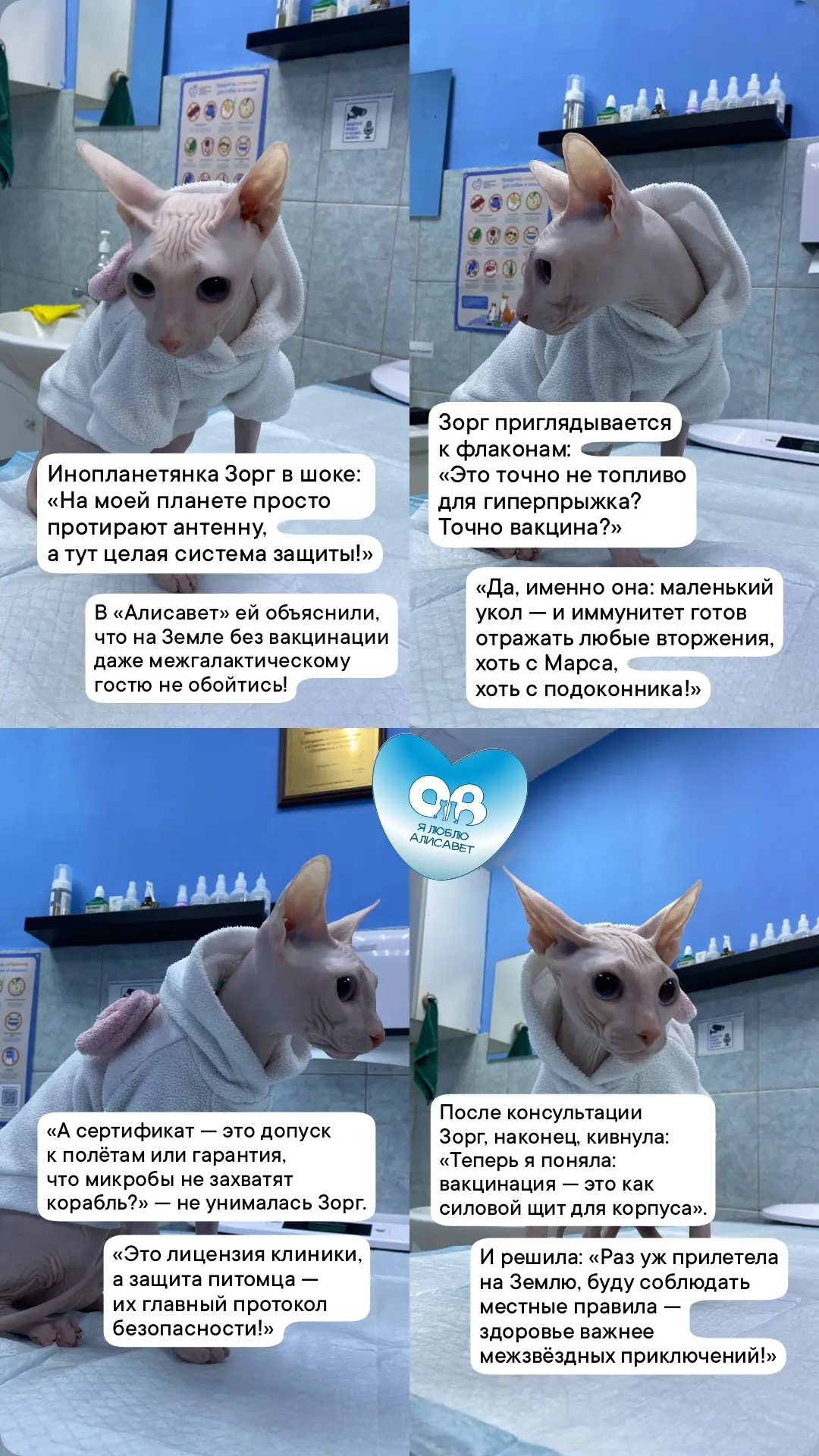 🐾 Совет от кошки-инопланетянки 👉 Запишите на прививку своего любимца 🐱 мурчалку или