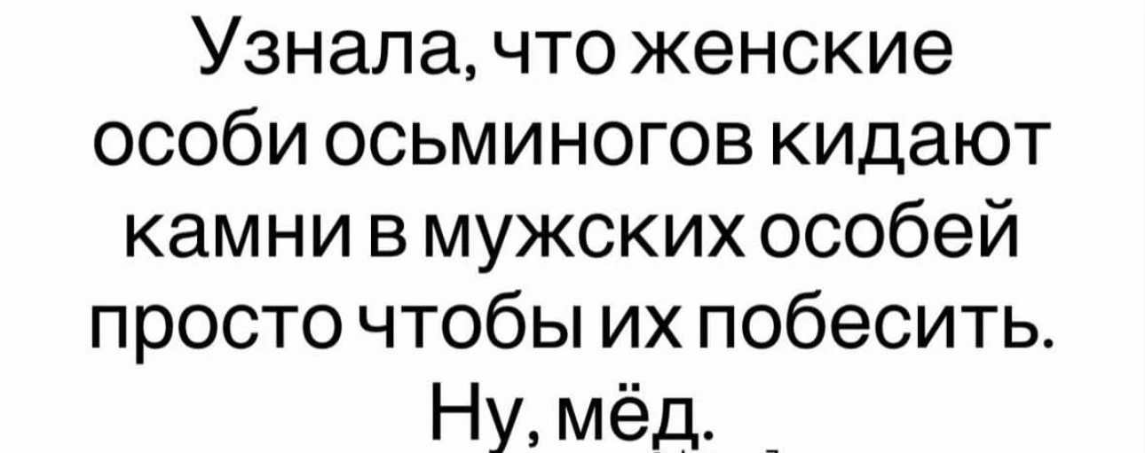поМЕМдельник
