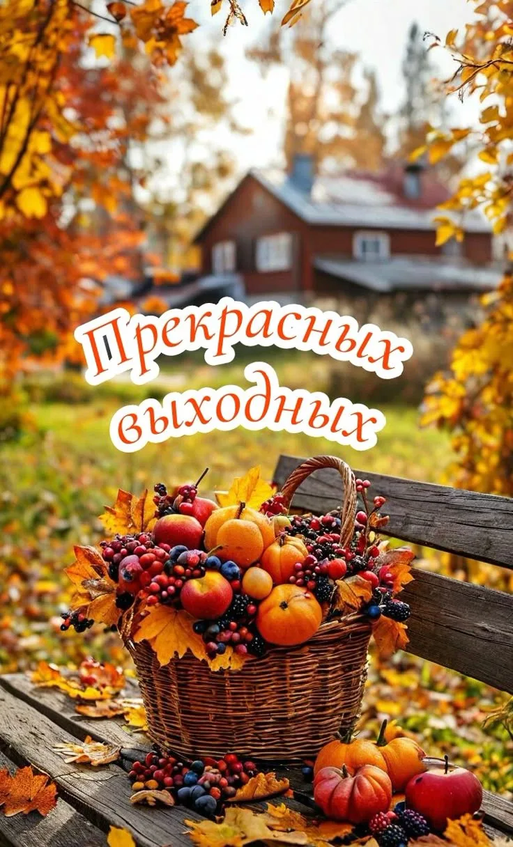 📅 17 октября (суббота)
