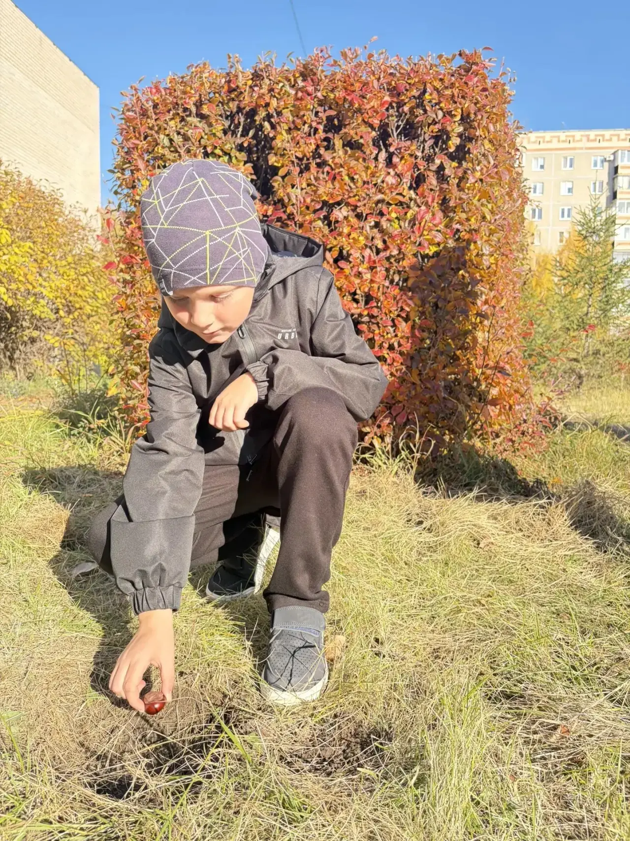 🌳В рамках реализации городской программы по озеленению и воспитанию экологической куль...