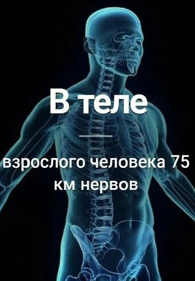 Вот 10 интересных фактов об организме человека, которые заставят тебя удивиться! 🧠✨