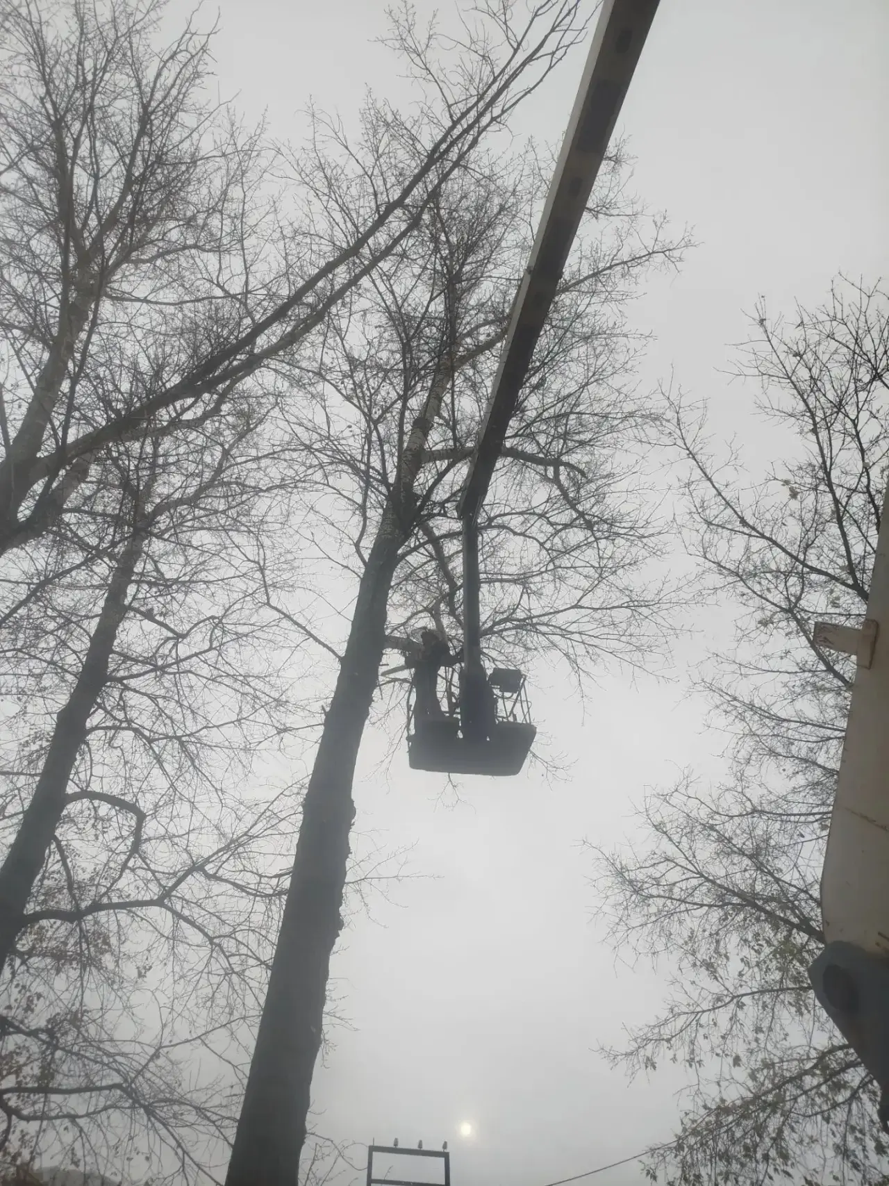 Добрый вечер, дорогие рязанцы!