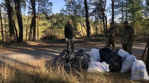 Пять кубометров мусора вывезли лесничие из «Жеребцовских сосен» в Курске