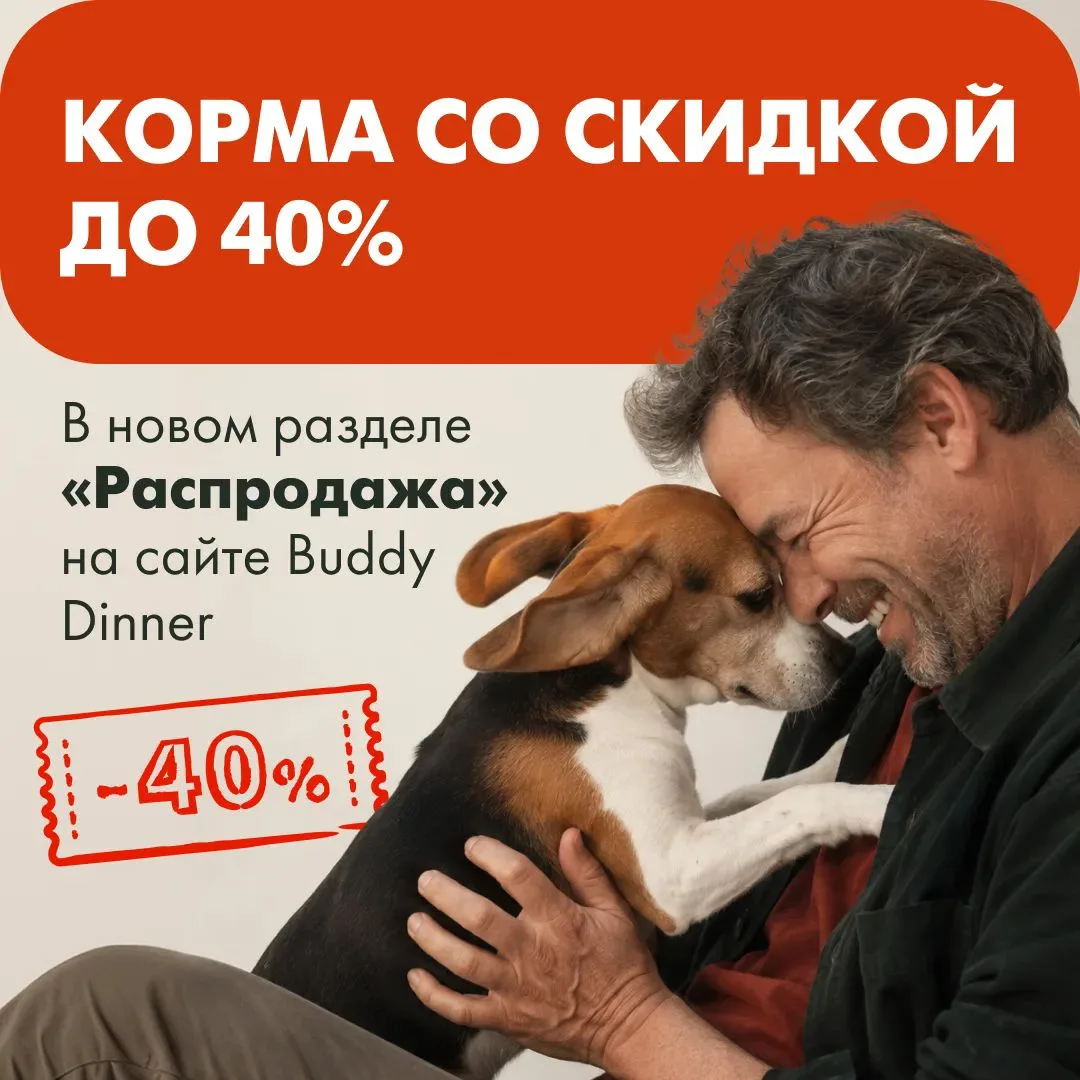 🔥 Новые товары в распродаже BUDDY DINNER