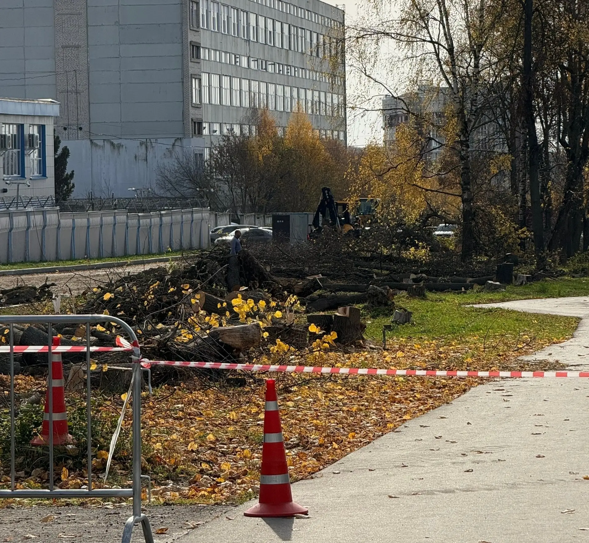 У АПЗ в Арзамасе вырубили аллею — возможно, здесь появится парковка 😔