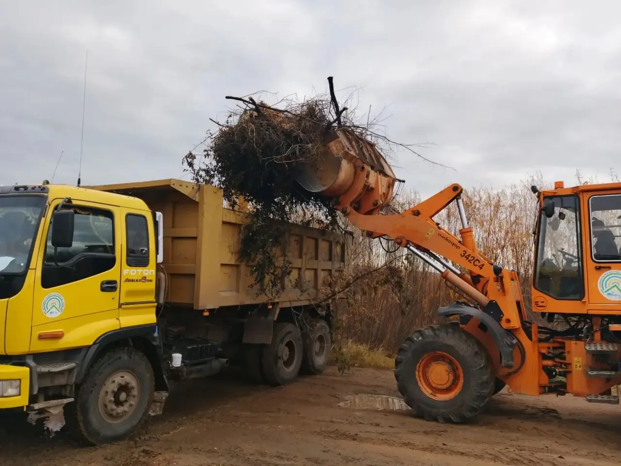 Семь крупных свалок ликвидировано по всему городу