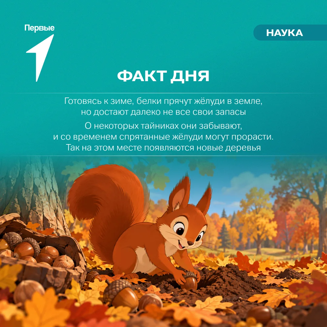 А ты знал, что животные тоже сажают деревья?