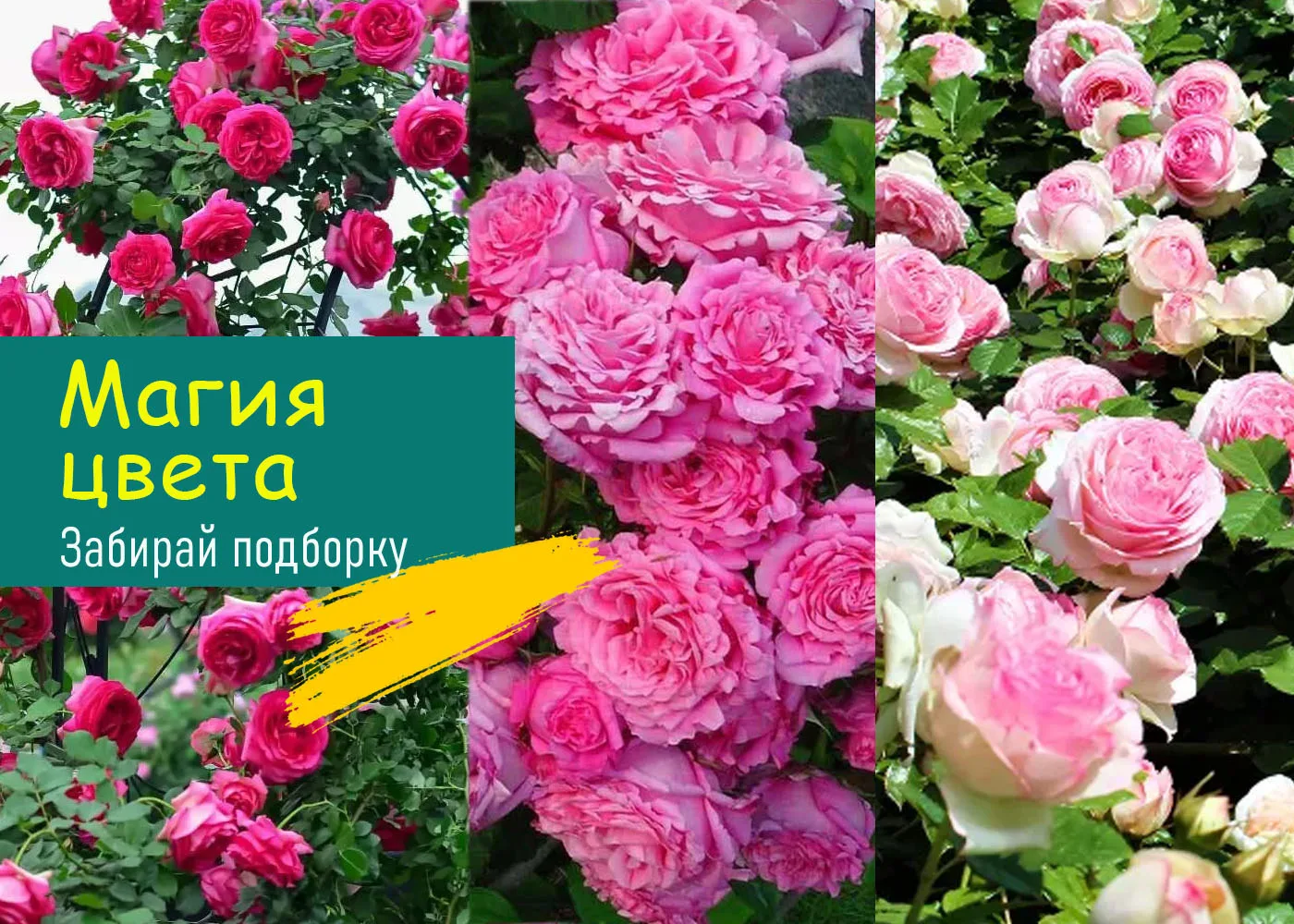 Люблю, когда все не просто так. А продумано, гармонично. Не всегда, конечно, получается...
