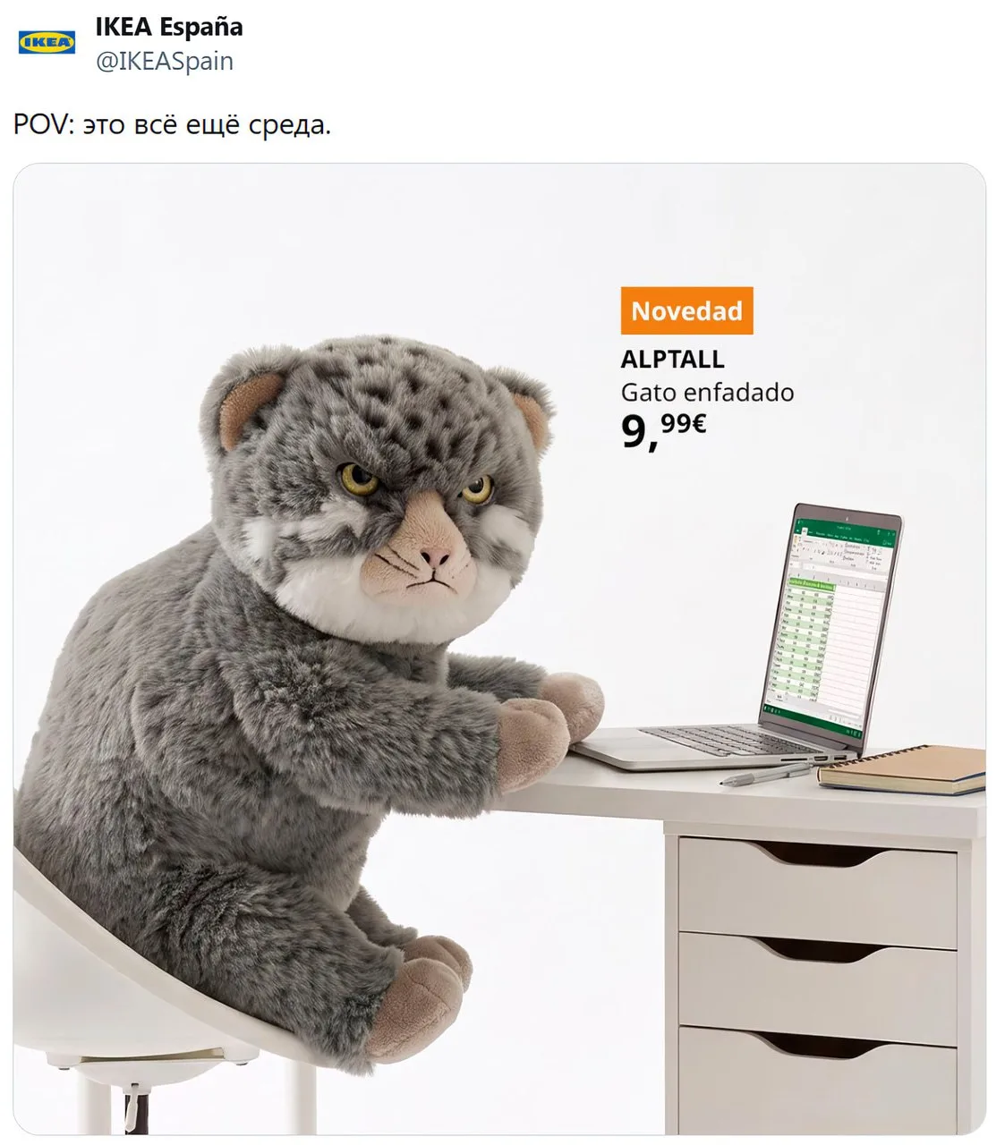 Злой манул из IKEA — точное воплощение того, как ты выглядишь на работе каждый божий день