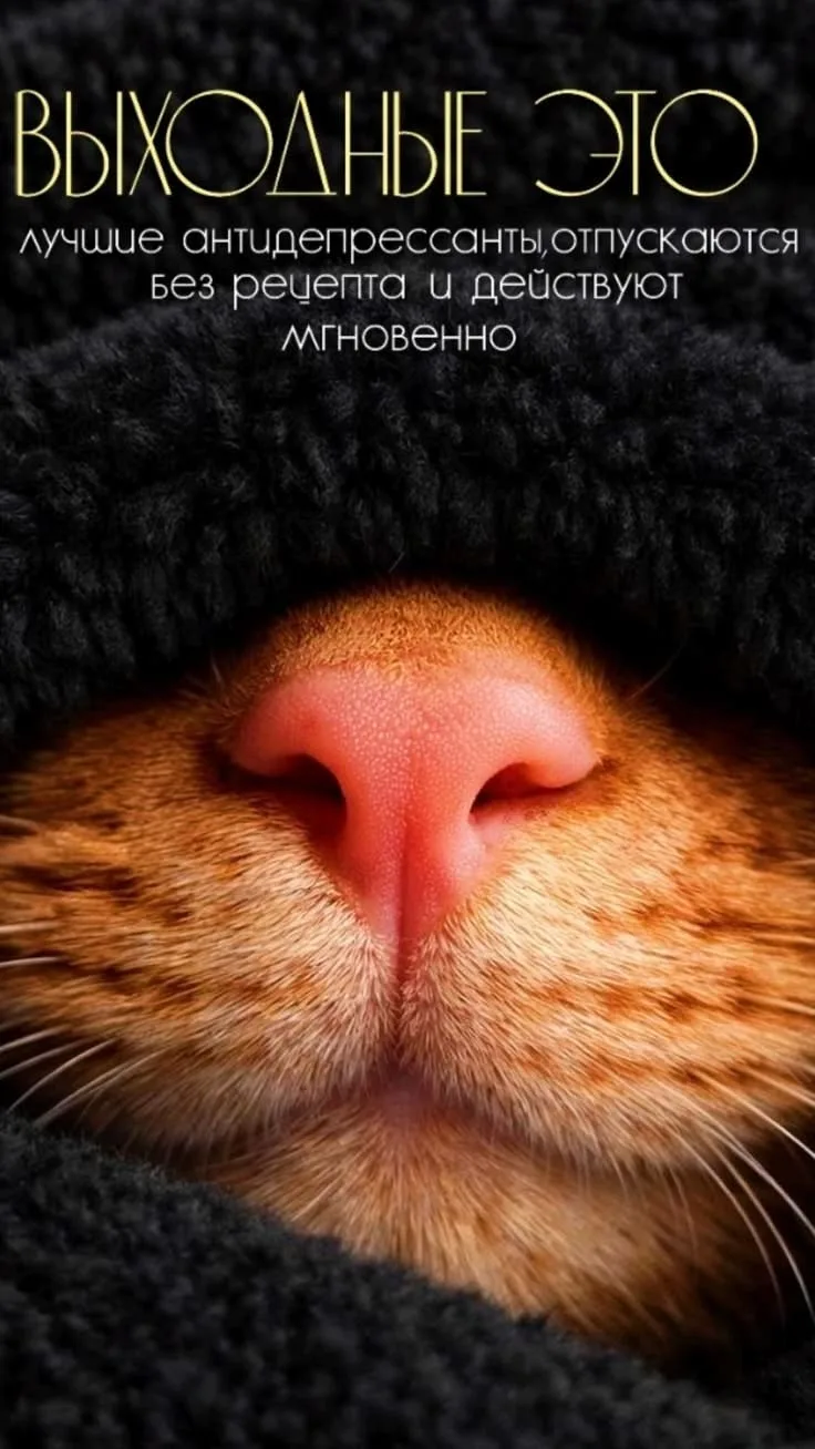 https://max.ru/se13912156_biz