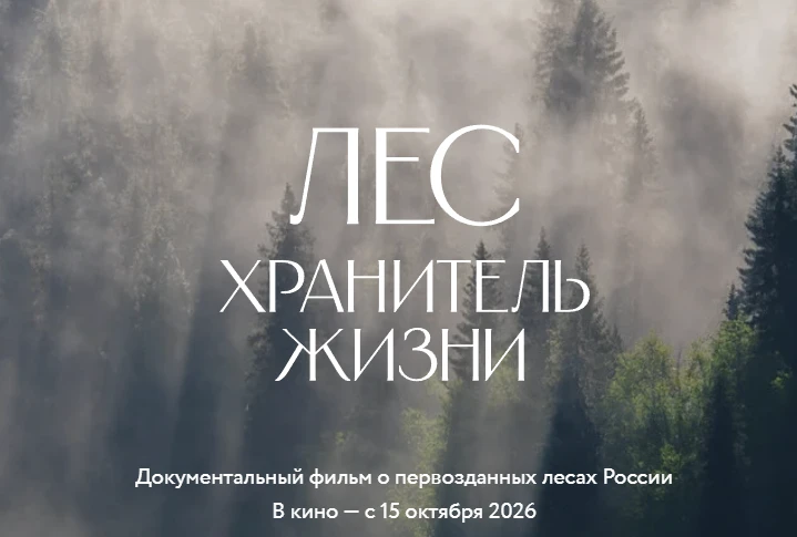 Очень важный фильм в современных реалиях, когда столько людей, особенно во  властных ст...