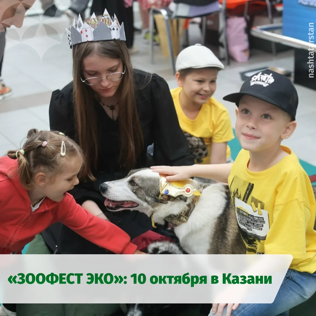 🐾 Больше 50 питомцев будут ждать новую семью на «ЗООФЕСТ ЭКО» в Казани