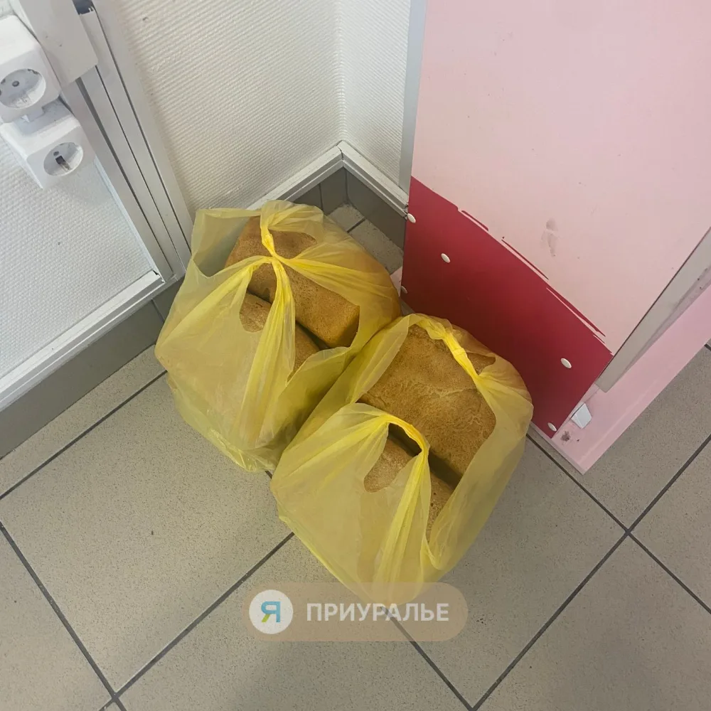 😱«Хлеб в мусорку?»: как один пост всколыхнул Аксарку — и что выяснилось