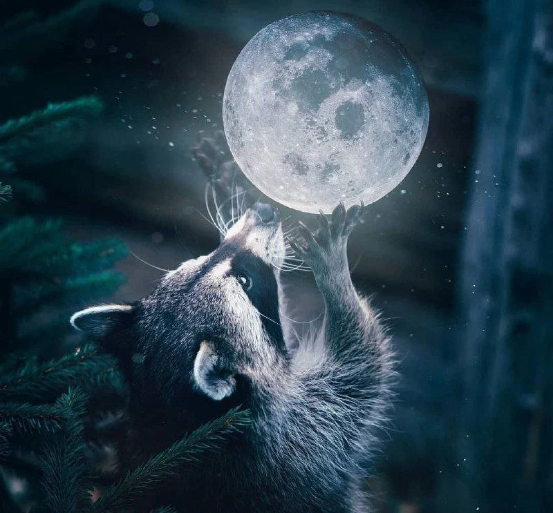 🌜Доброй ночи, дорогие подписчики! Доброй ночи, Запорожье!😴