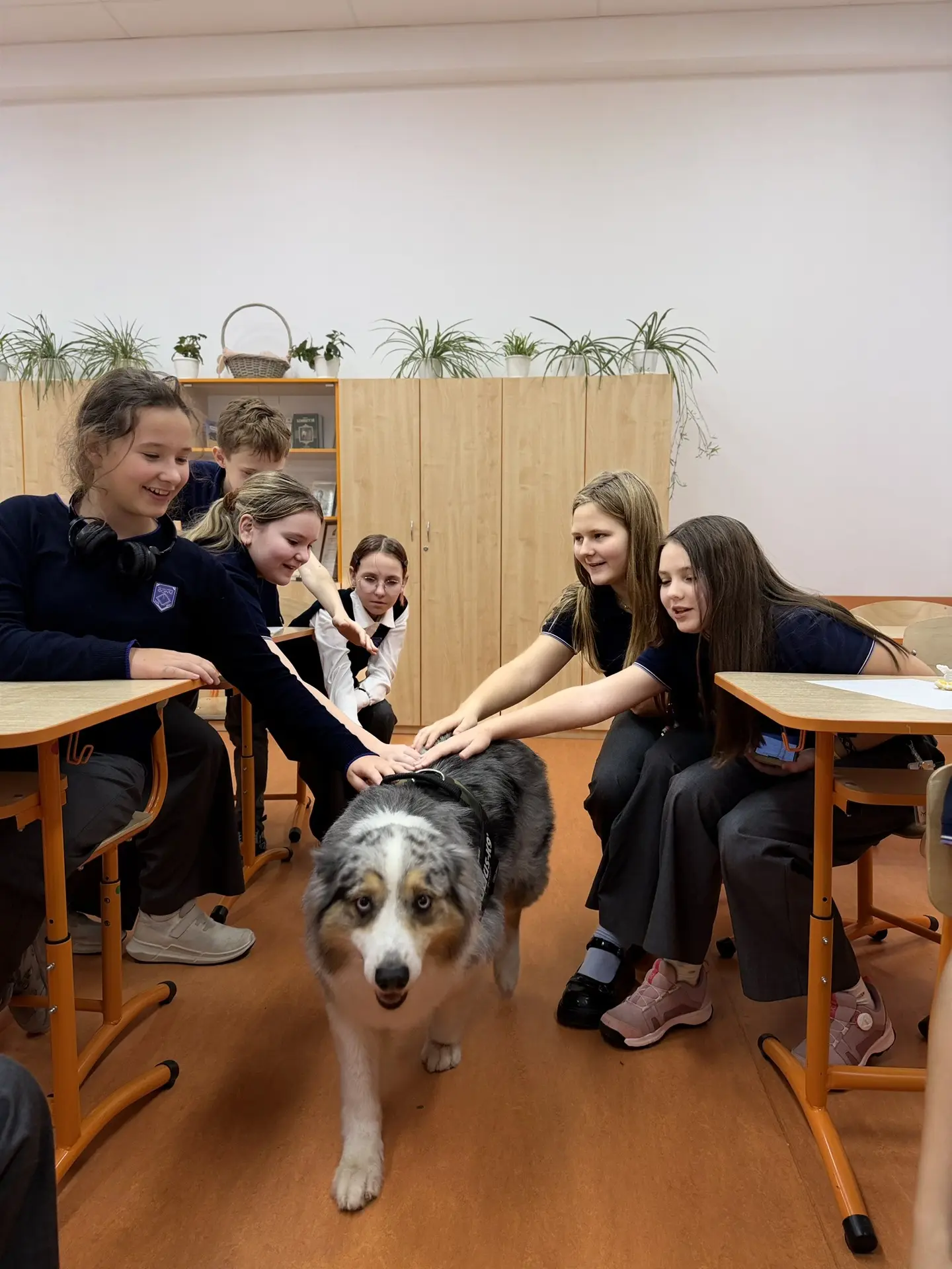 #НовостиСхвостиком Вчера мы с Таши провели первые два урока по кинологии в школе. Труд ...