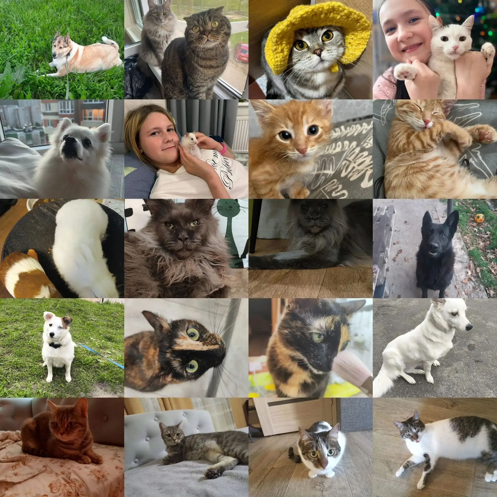 Онлайн-выставка «Я и мой питомец»🐶