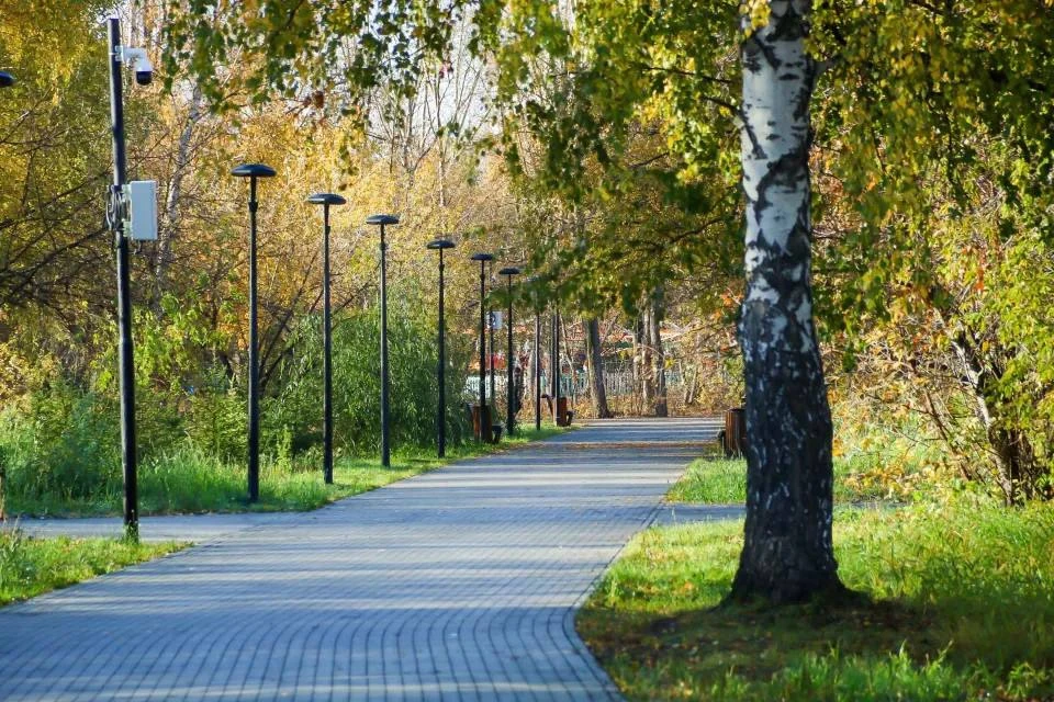 🌳 В Барнауле подходит к концу очередной сезон благоустройства парков