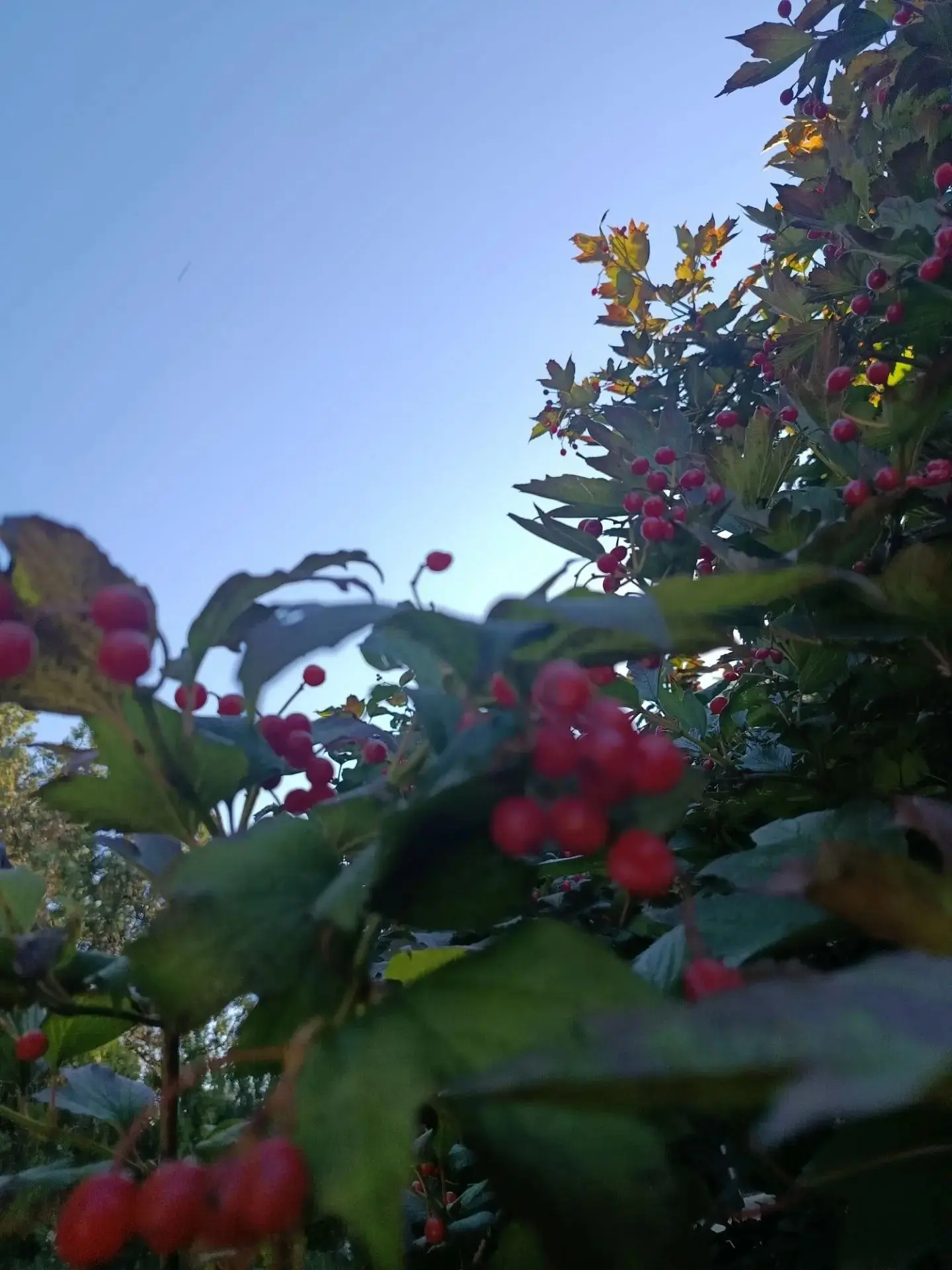 ☀️Теплый понедельник