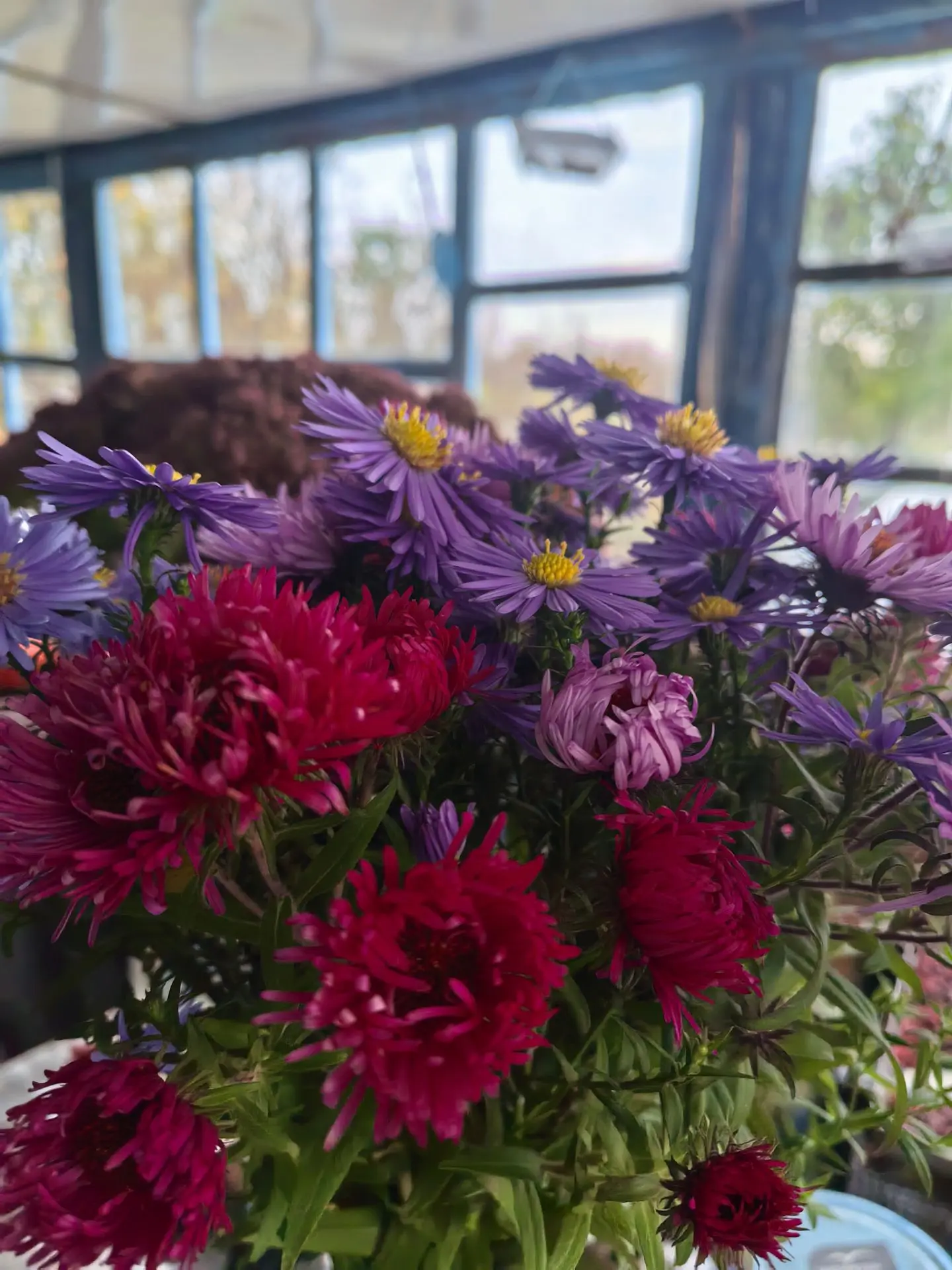 Доброе цветочное утро 😍
