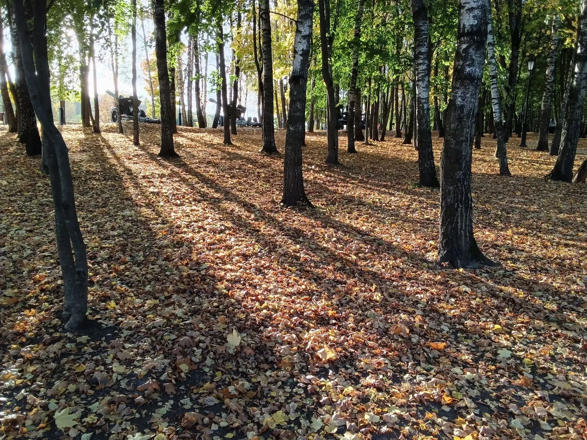 Цикл фотографий к 100-летию города Наро-Фоминска "Мой город в объективе".