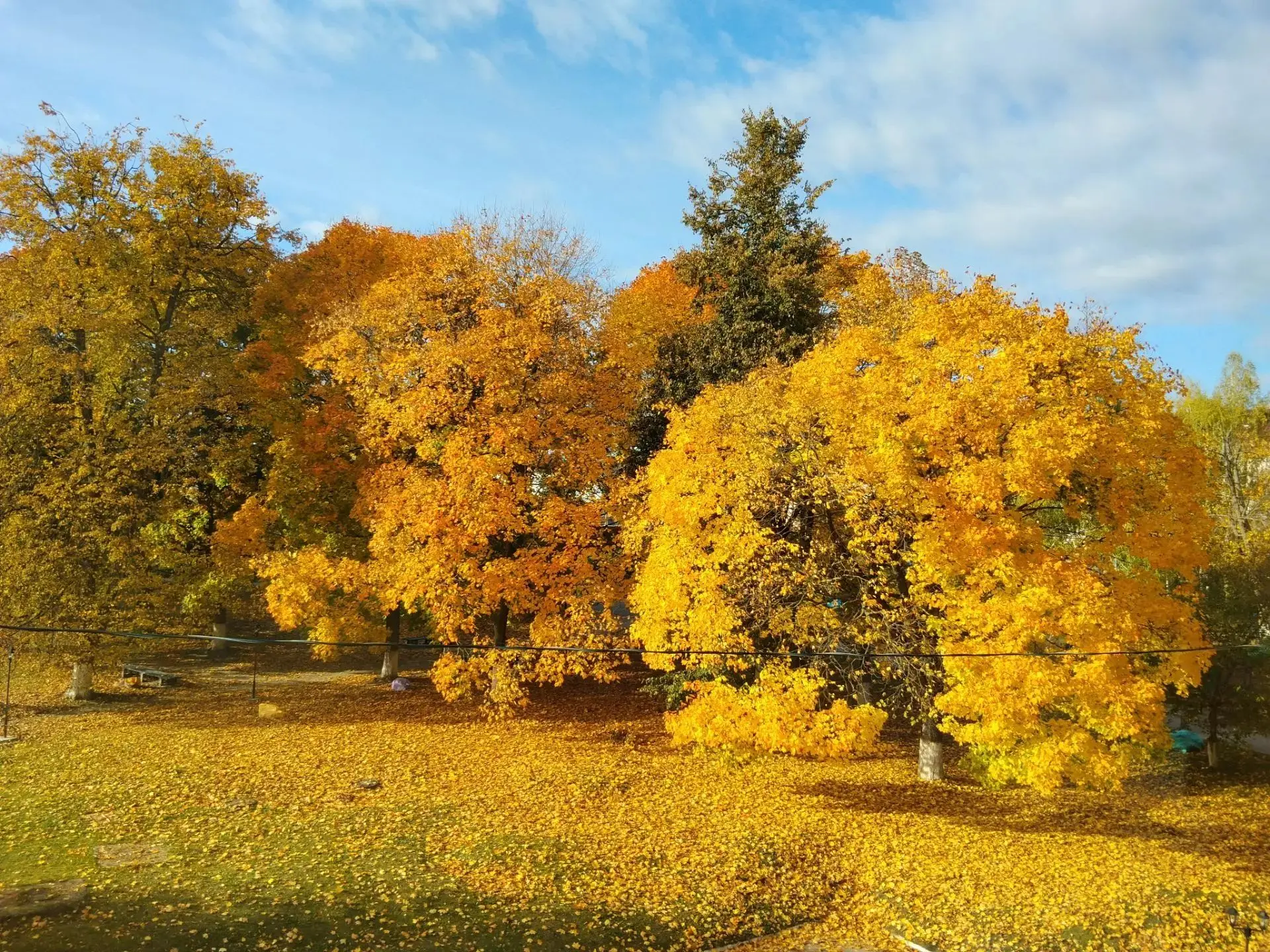 Какая красота!!!Осень в Климово 🍁🍁🍁