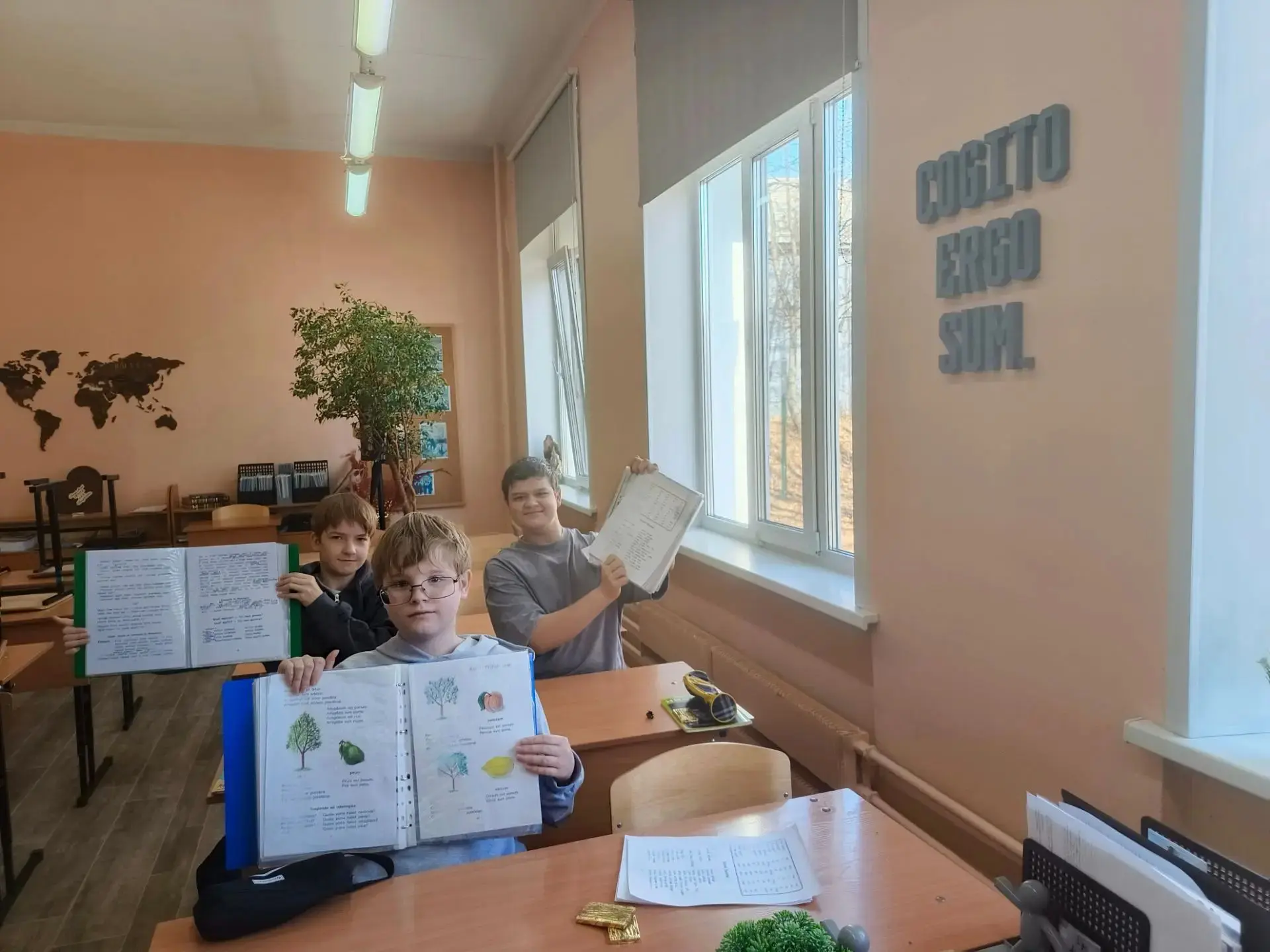 ДОУ по латинскому языку