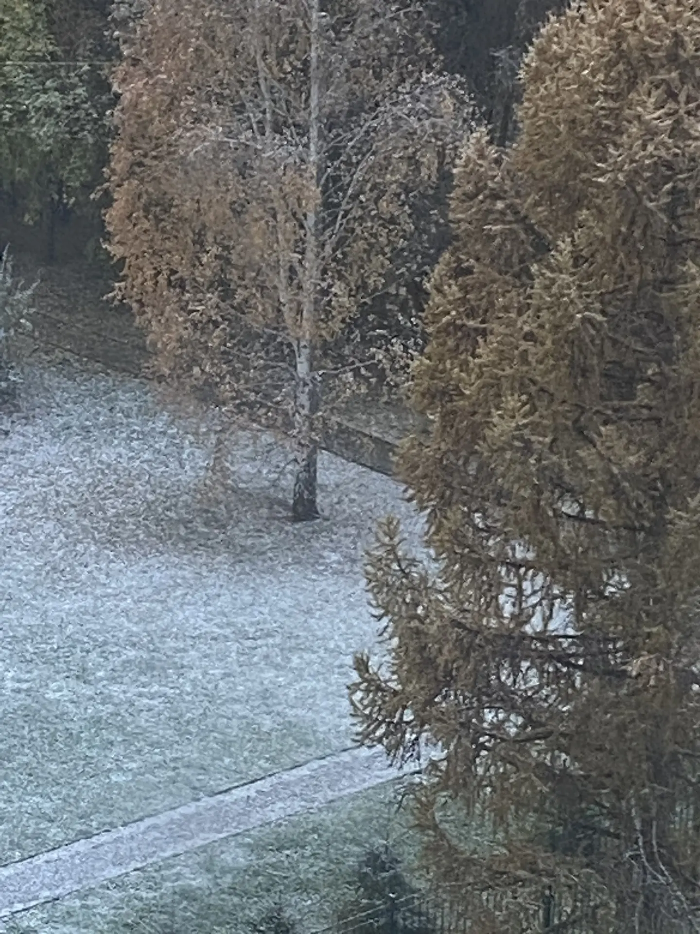 ✨Благодарю…