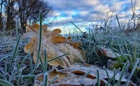 🌡 В Татарстане резко похолодает к 20 октября