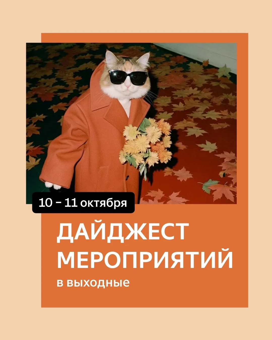 Приглашаем на мероприятия в эти выходные🍁