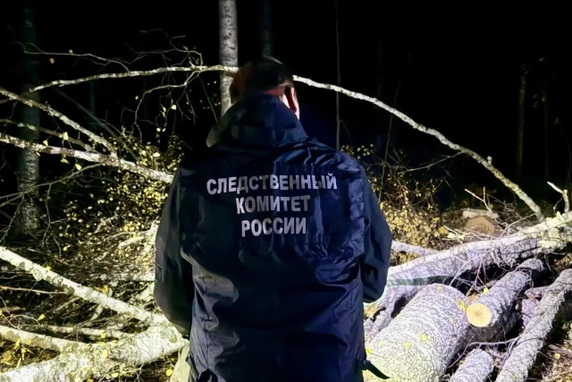 🚨 В Марий Эл мужчину насмерть придавило деревом во время работы в лесу!
