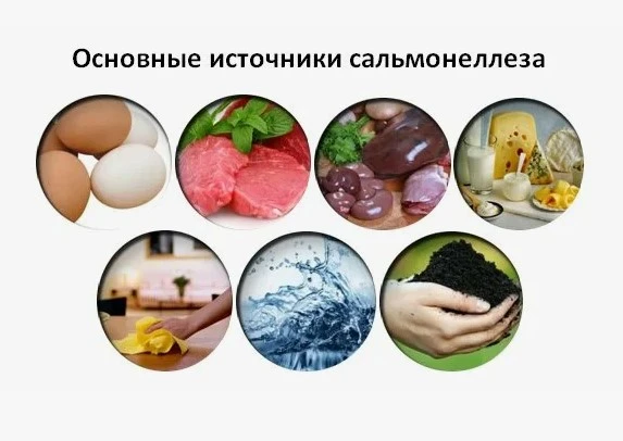 Сальмонеллез: меры профилактики