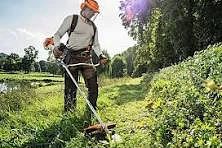 🌿 Уважаемые жители!