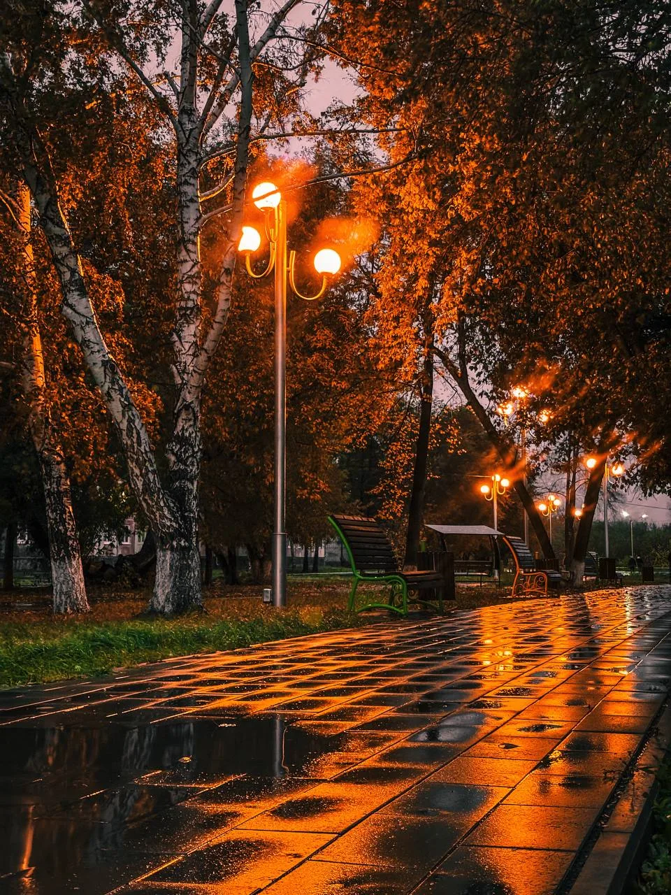 Доброй ночи, Рубцовск 😴🌛