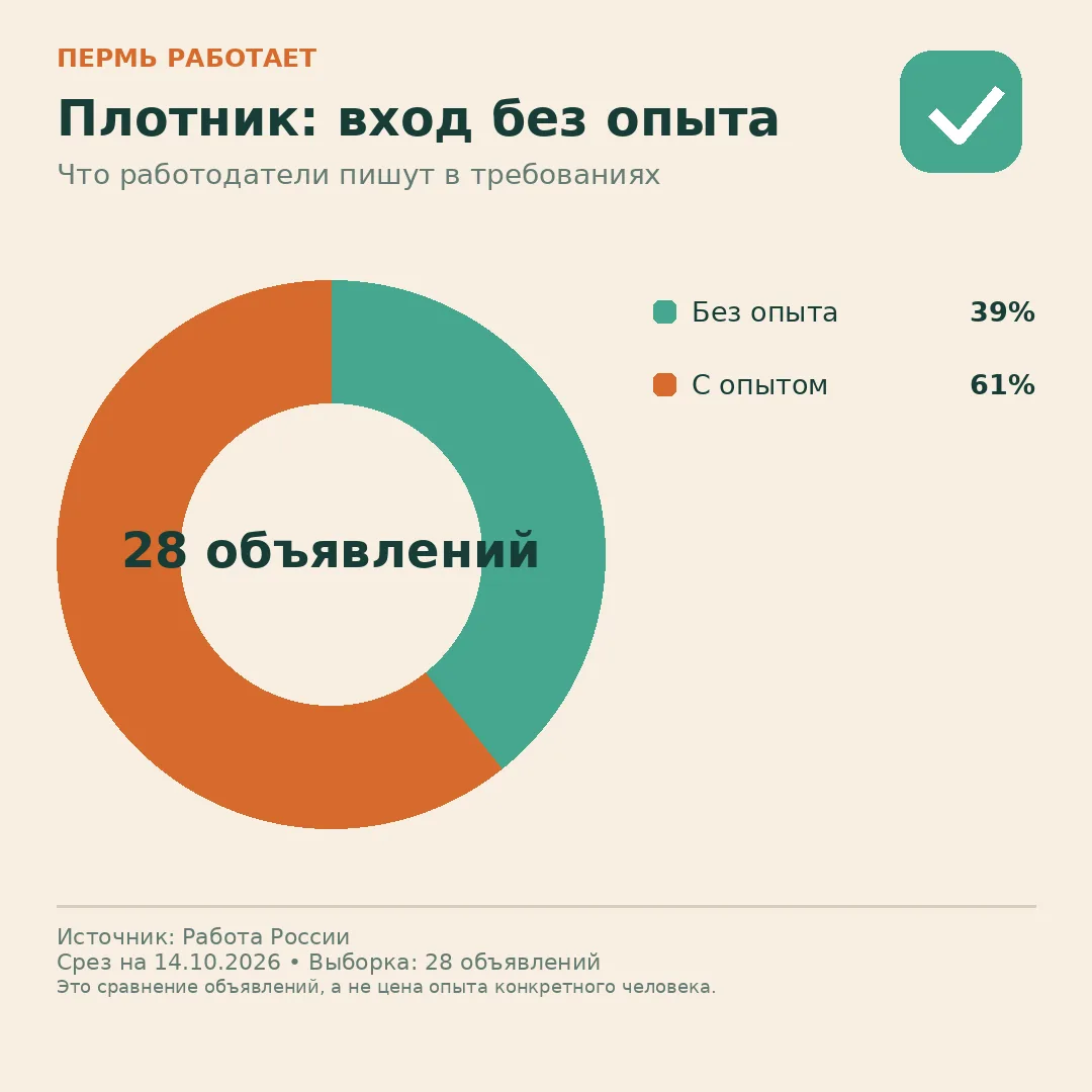 🚪 Плотник: сколько объявлений открыты новичкам