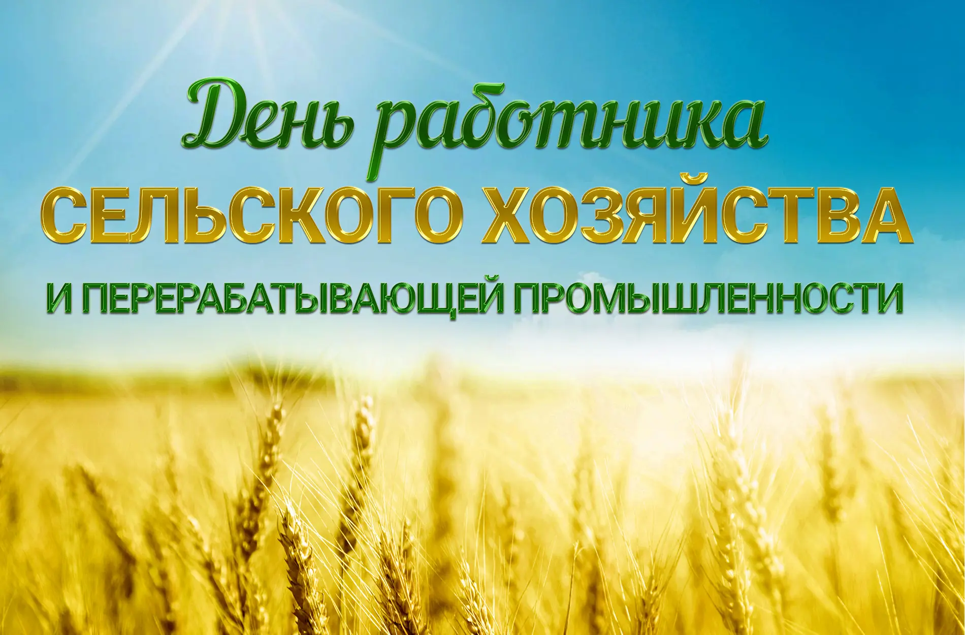 Сегодня, День работника сельского хозяйства и перерабатывающей промышленности!