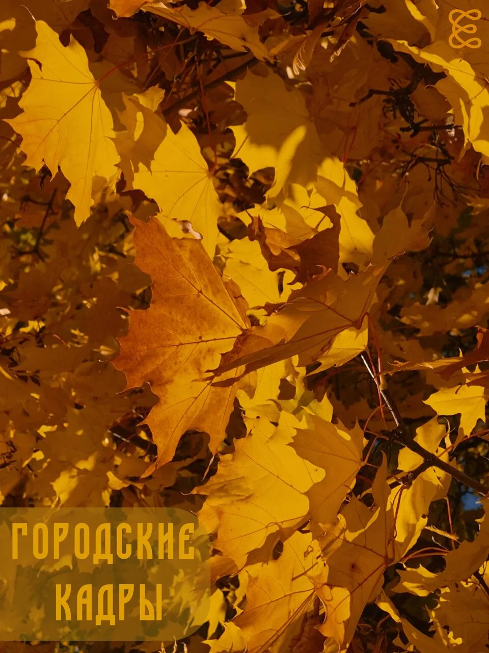 Осень — лучшее время для неспешных прогулок по городу 🍂