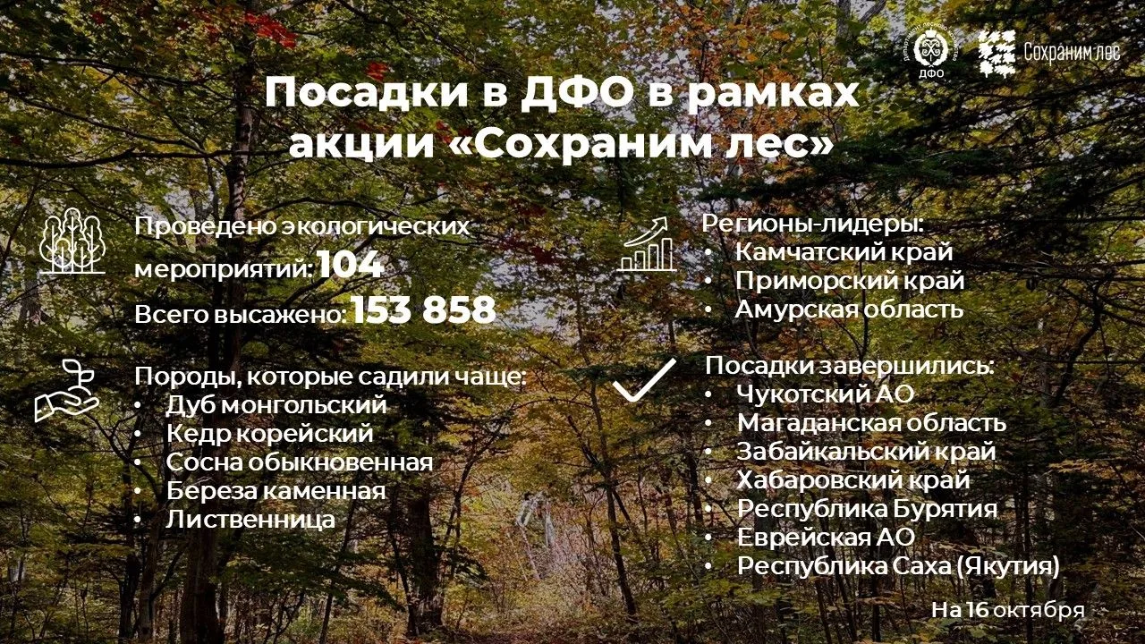 Посадки в Дальневосточном федеральном округе в рамках акции "Сохраним лес"