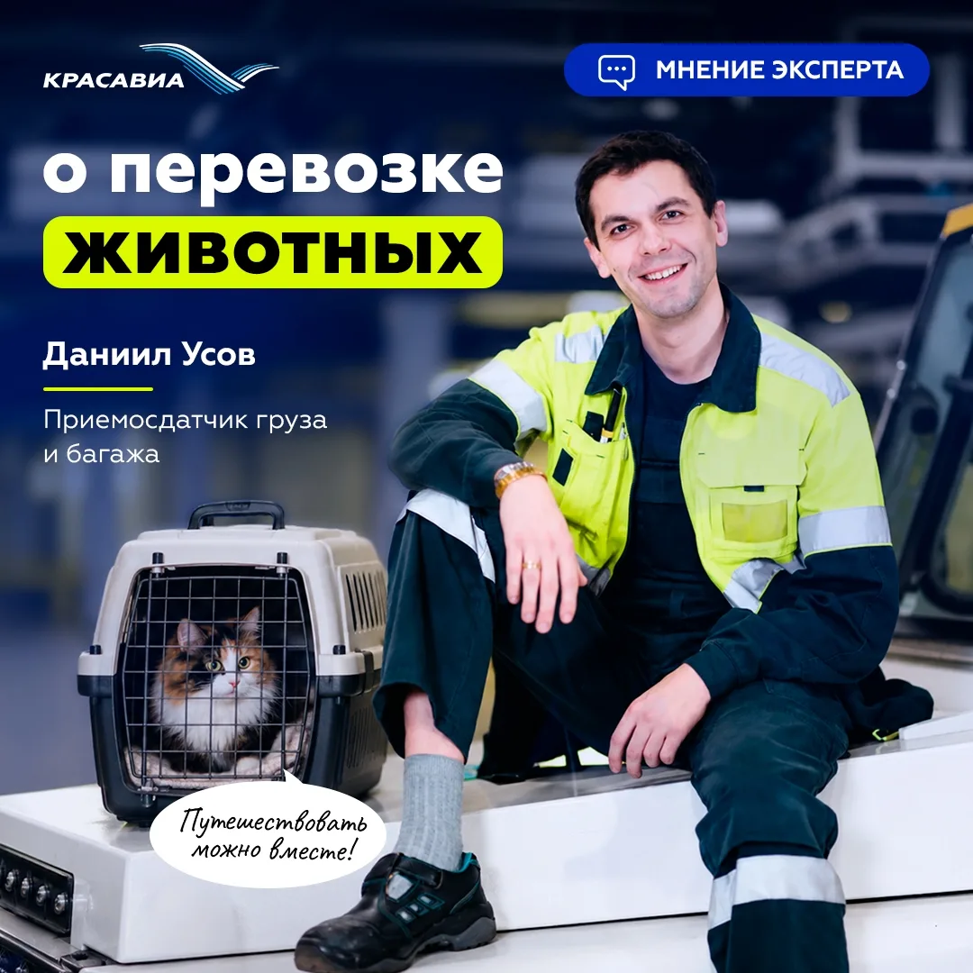 Что на самом деле происходит с питомцем в багажном отсеке?