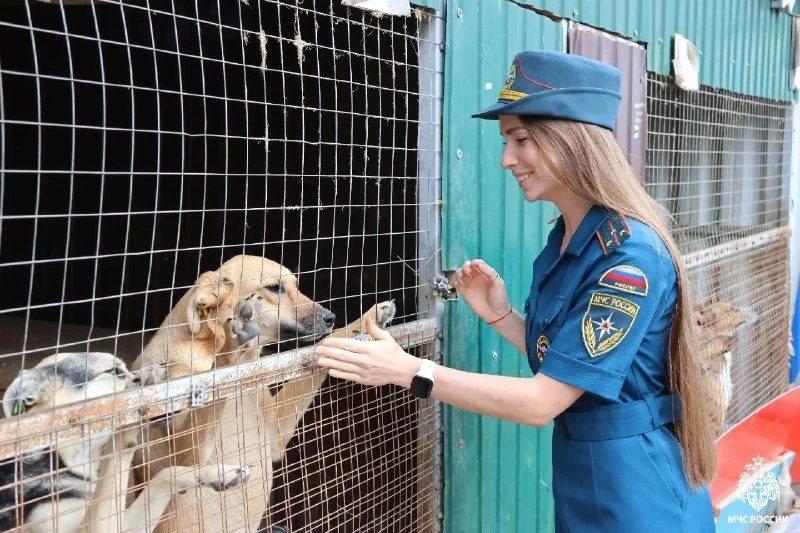 🐶 МЧС помогла приюту для собак